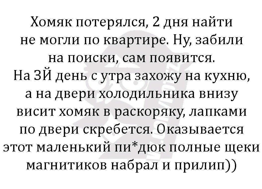 Хомяк потерялся 2 дня найти не могли по квартире Ну забили на поиски сам появится На ЗЙ день с утра захожу на кухню а на двери холодильника внизу висит хомяк в раскоряку лапками по двери скребется Оказывается этот маленький пидюк полные щеки магнитиков набрал и прилип