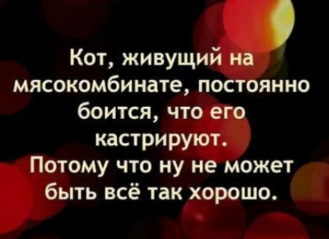 Кот живущи мясокомбинате по янно тому что ну и ожет ыть всё так дорошо
