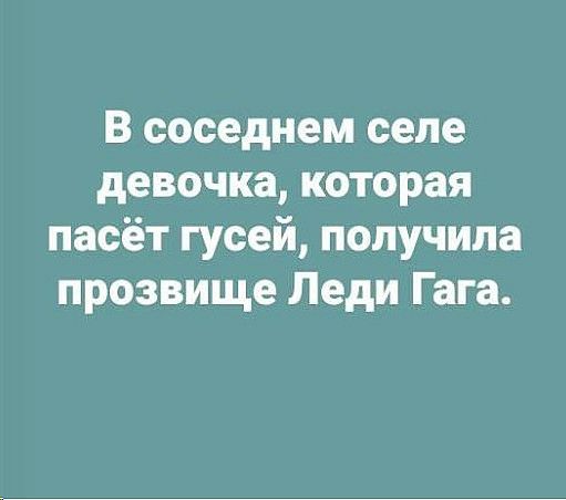 В соседнем селе девочка которая пасёт гусей получила прозвище Леди Гага