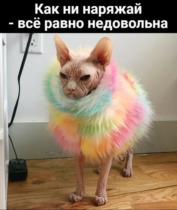 Как ни наряжай все равно недовольна