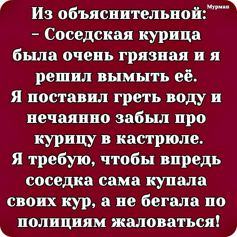 Г МУР Из объяснительнои Соседская курица была очень грязная и я решил вымыть её Я поставил греть воду и нечаянно забыл про курицу в кастрюле Я требую чтобы впредь соседка сама купала своих кур а не бегала ио нолициям жаловаться Ь Ц