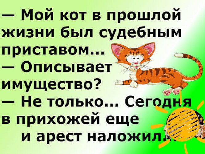 Мой кот в прошлой жизни был судебным приставом Описывает имущество Не только Сег_ 5 в прихожей еще и арест нало