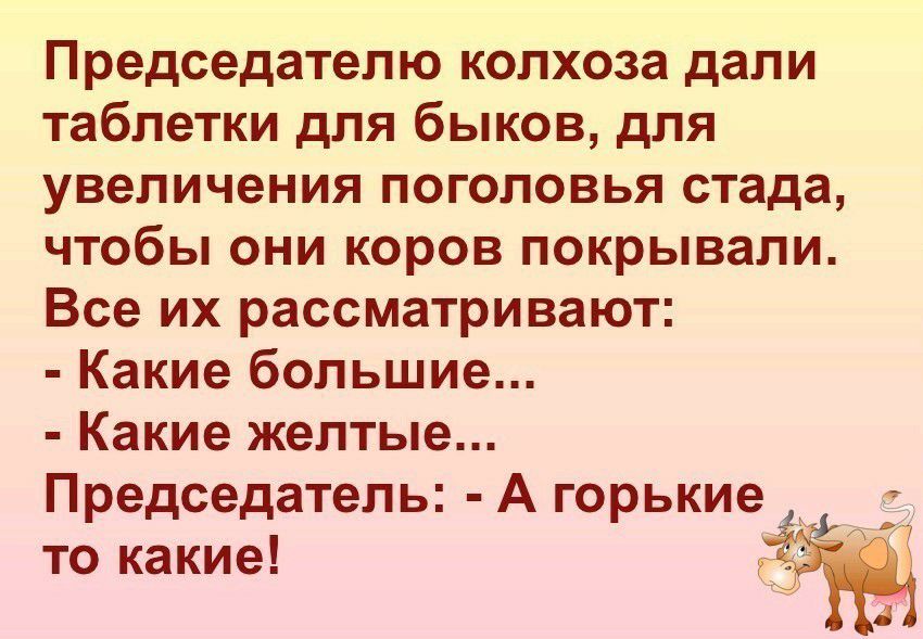 Председателю колхоза дали таблетки для быков для увеличения поголовья стада чтобы они коров покрывали Все их рассматривают Какие большие Какие желтые Председатель А горькие то какие