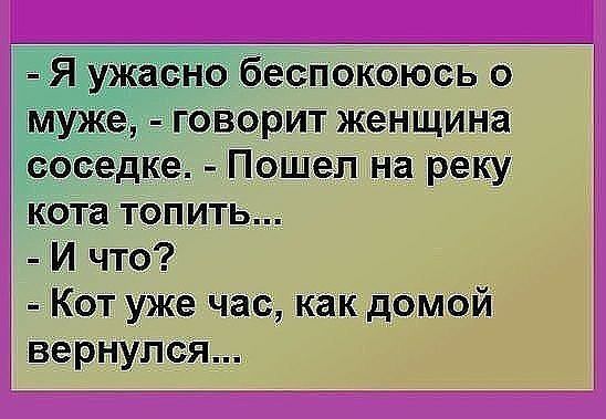_ іо беспокоюсь о говорит женщина едкіе Пошел на реку кота топить И что Кот уже час как домой везрнУлзя