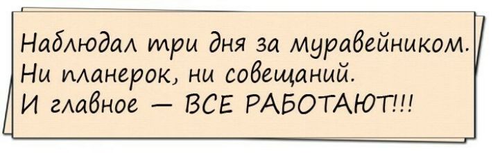 Набмдм мры дня за мурабейииком Нм манерок ны совещаний И гАабное ВСЕ РАБОТАЮТ