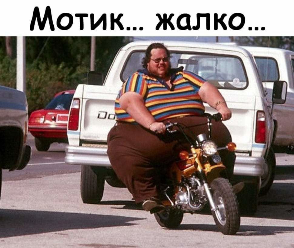 Мотикт жалко