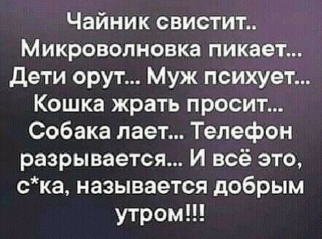 Чайник свистит_ Микроволновка пикает дети орут Муж психует Кошка жрать просит Собака лает Телефон разрывается И всё это ска называется добрым утром