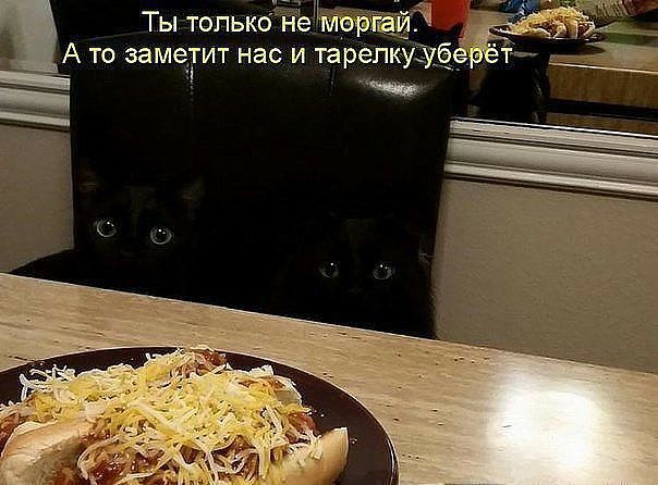 даф 1А то замеТит нас и тарёпкуТ7_б_і _ __ Въ