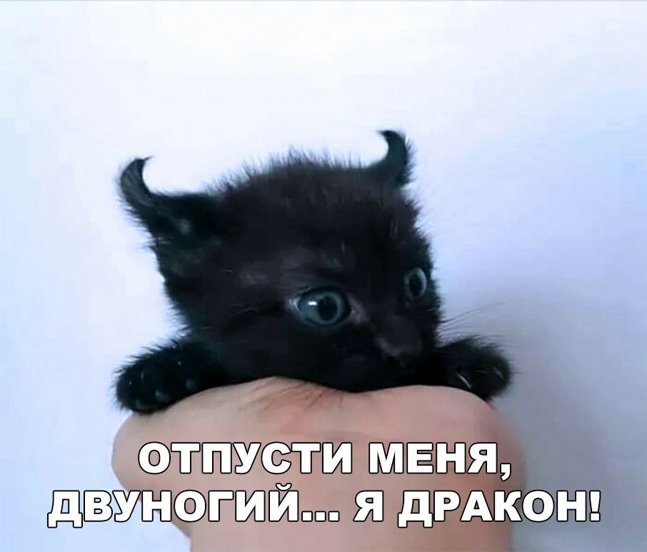 т Вг ш