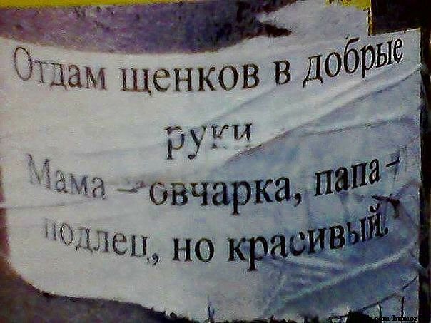 2м 7 ОЩам Щенков в добры _