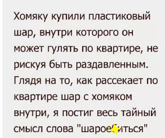 Хомяку купили пластиковый шар внутри которого он может гулять по квартире не рискуя быть раздавленным Глядя на то как рассекает по квартире шар с хомяком внутри я постиг весь тайный смысл слова шароейиться