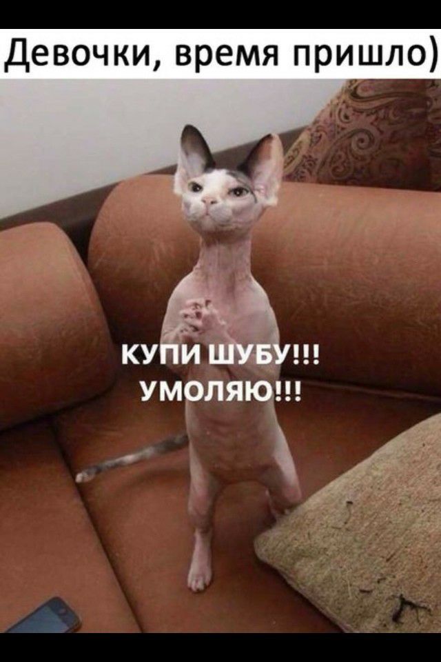 Девочки время пришло УМОЛЯЮ ж т