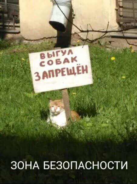 ЗОНА БЕЗОПАСНОСТИ