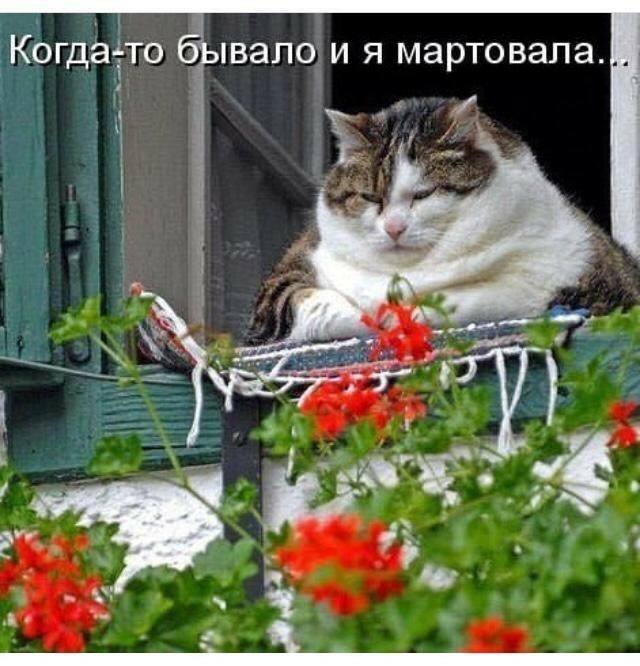 Когда'т'э 'валои я мартовала.