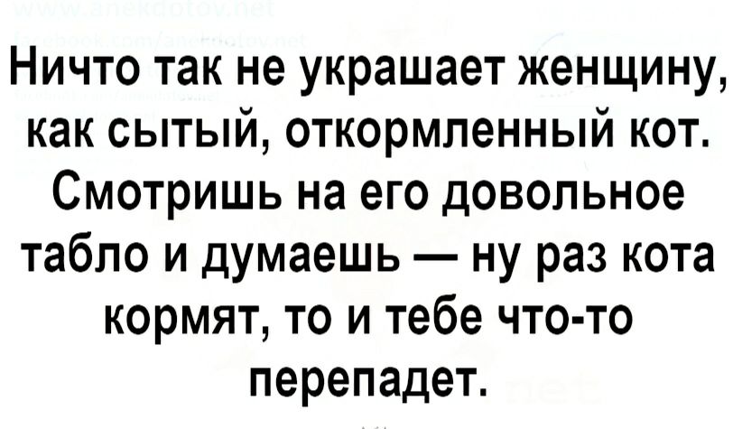 Ничто так не украшает женщину как сытый откормленный кот Смотришь на его довольное табло и думаешь ну раз кота кормят то и тебе что то перепадет