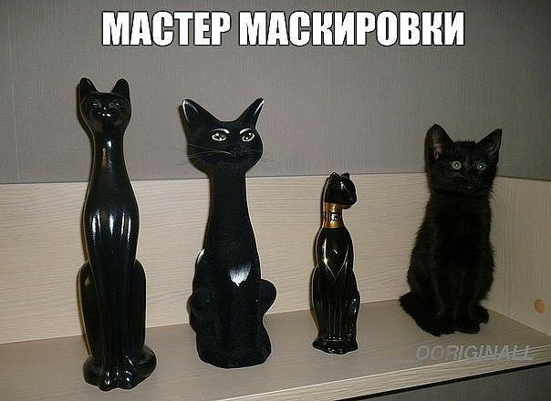Мастер маснировни у