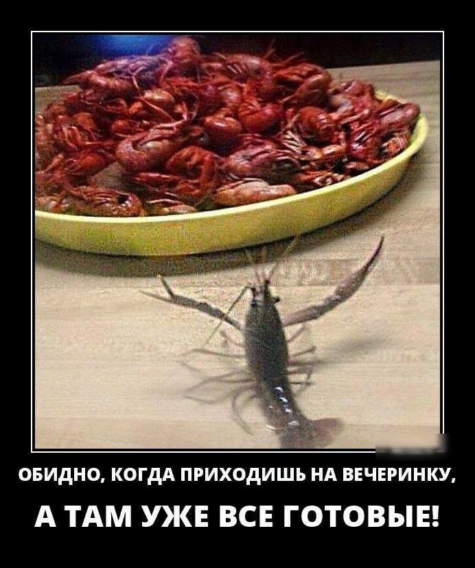 ОБИДНО КОГДА ПРИХОДИШЬ НА ВЕЧЕРИНКУ А ТАМ УКЕ ВСЕ ГОТОВЫЕ