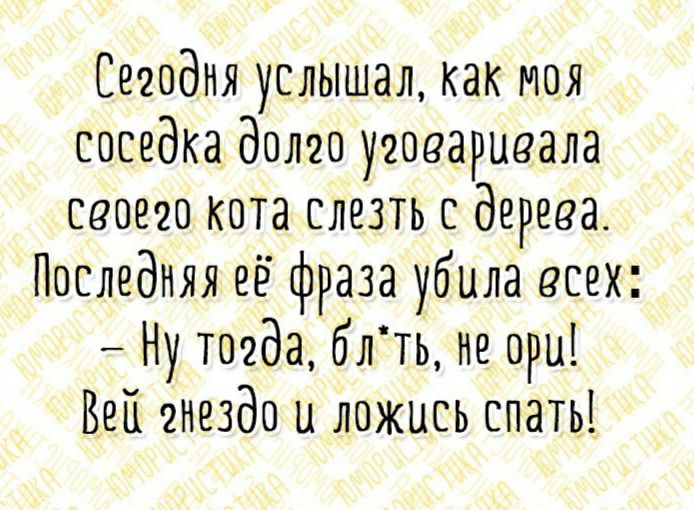 Сегодня услышал как моя соседка долго уговаривала своего кота слезть с дерева Последняя её фраза убила всех Ну тоеда блть не ориі ВВП 360 и ложись спать