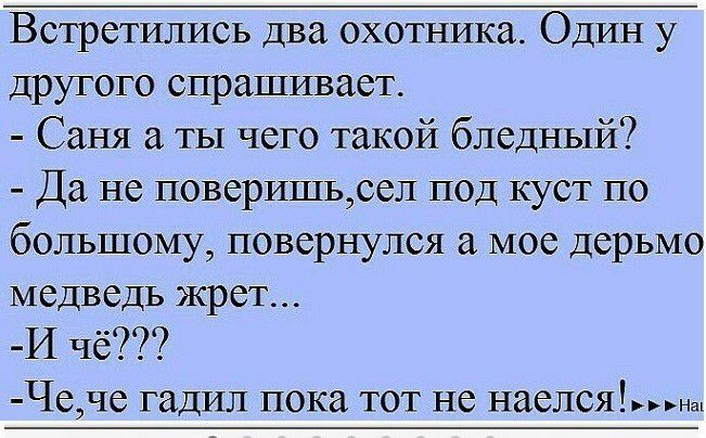 Встретились два охотника Один у другого спрашивает Саня ты чего такой бледный Да не поверишьсел под куст по большому повернулся а мое дерьмо медведь жрет И чё Чече гадил пока тот не наелсян