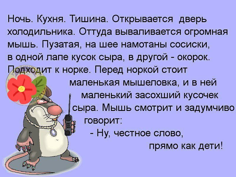 Тишина на кухне