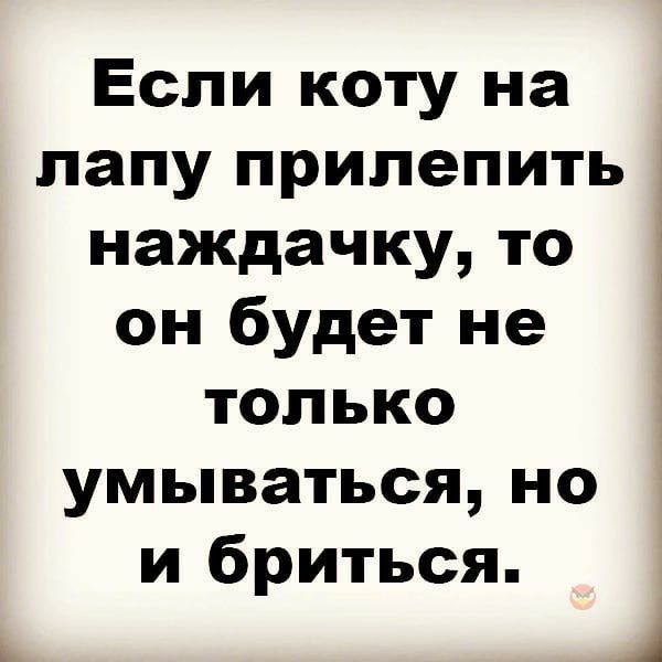 Если коту на лапу прилепить наждачку то он будет не только умываться но и бриться 1