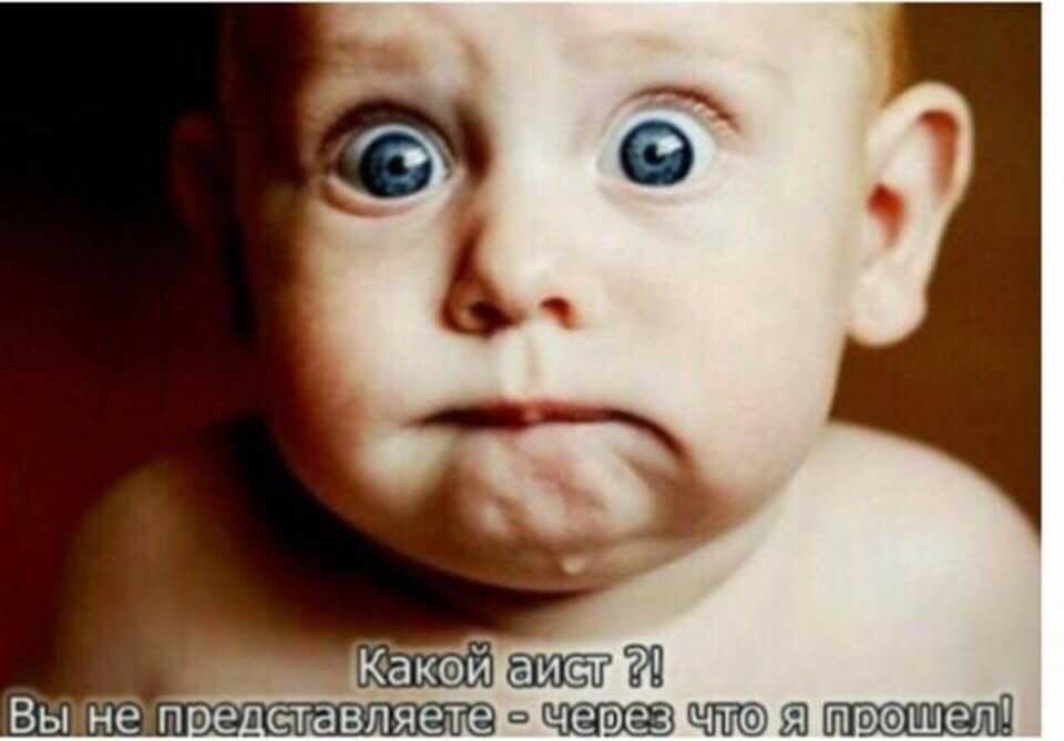 Вымйё п ве_6тавпяете 51