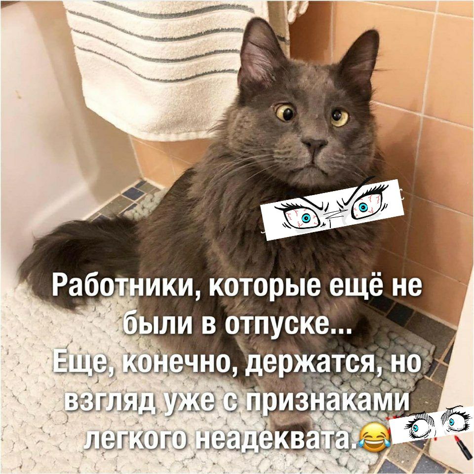 Взтлядужес! Летколозне