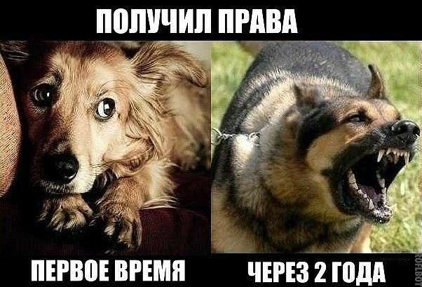 _ пиво вгімп чтз 2 юдп ___1 А