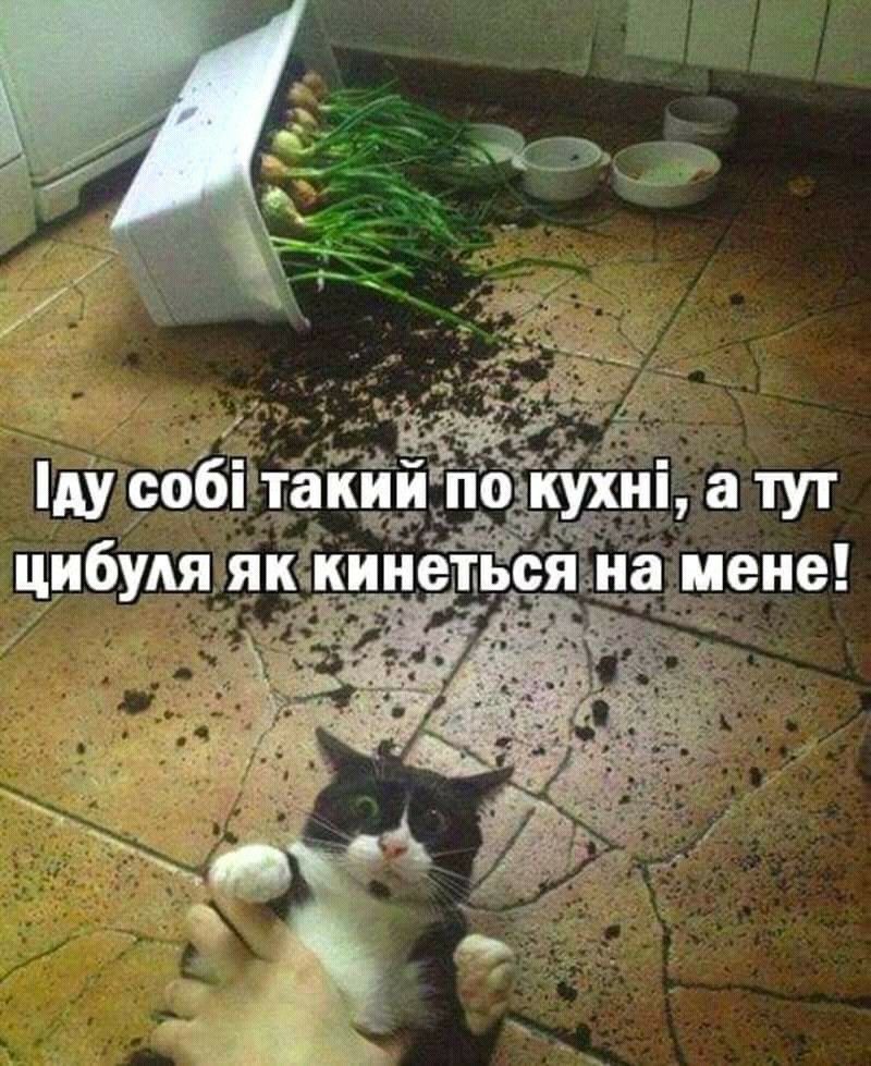 ЁтаЁййіподкухн _ а тут цибудя якминетьсям мене