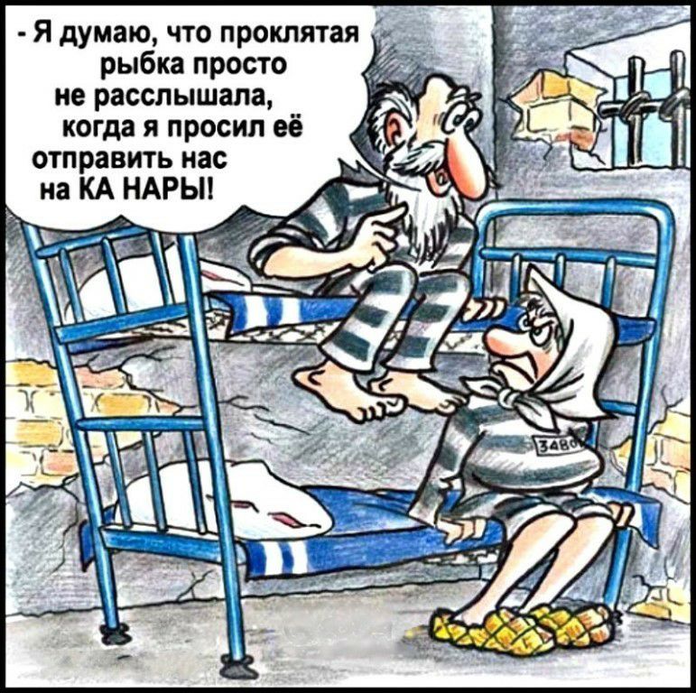 Я думаю что проклятая в рыбка просто ие расслышала когда я просил её отправить нас