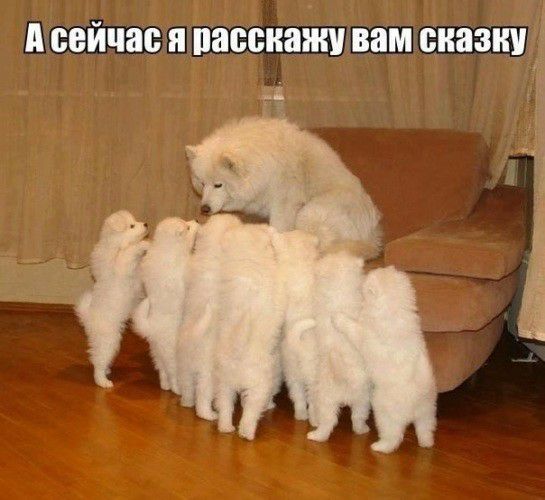 А сейчас и пассиажу вам сказку