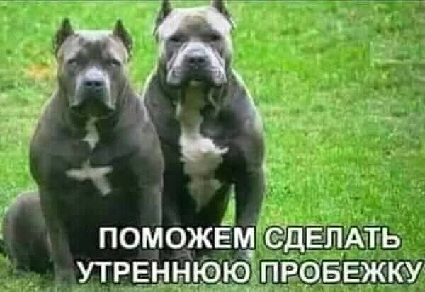 ПОМОЖЕМ СДЕЛАТЬ УТРЕННЮЮЛРФБЕЖКУ Чик