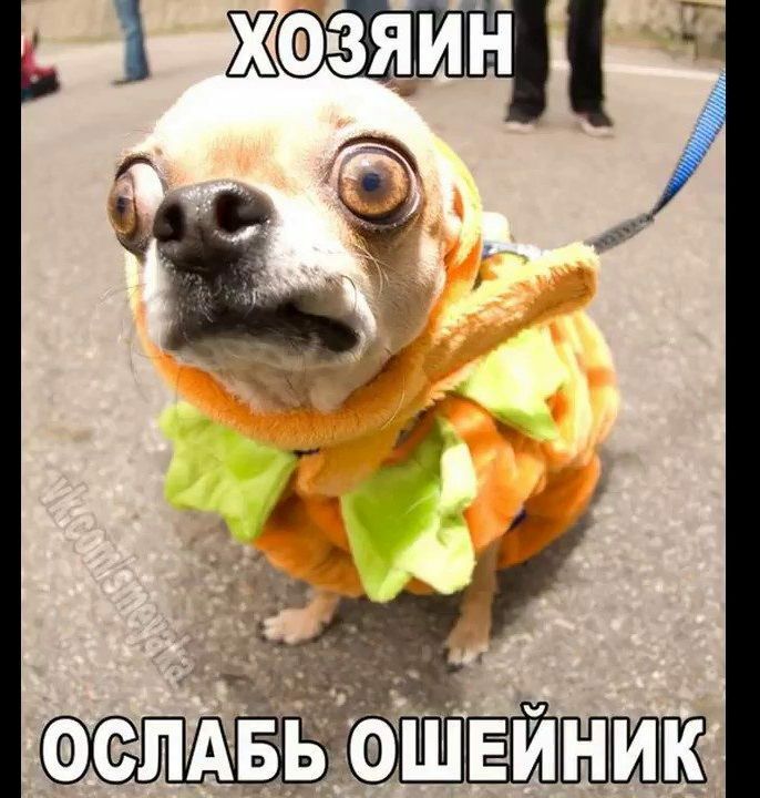 ж