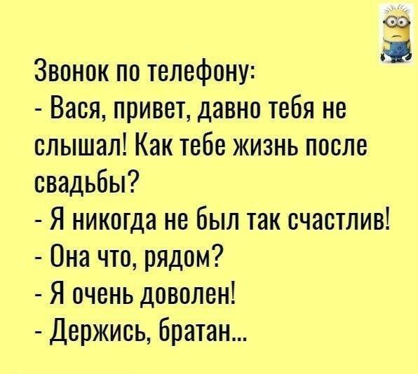 Звонок по телефону Вася привет давно тебя не слышал Как тебе жизнь после свадьбы Я никогда не был так счастлив Она что рядом Я очень доволен Держись братан