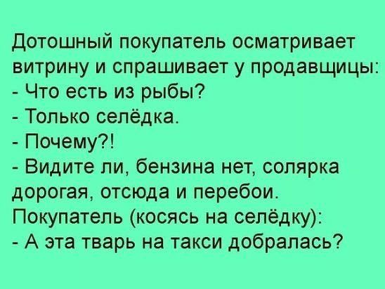 Дотошный покупатель осматривает витрину и спрашивает у продавщицы Что есть из рыбы Только сепёдка Почему Видите ли бензина нет сопярка дорогая отсюда и перебои Покупатель косясь на селёдку А эта тварь на такси добралась