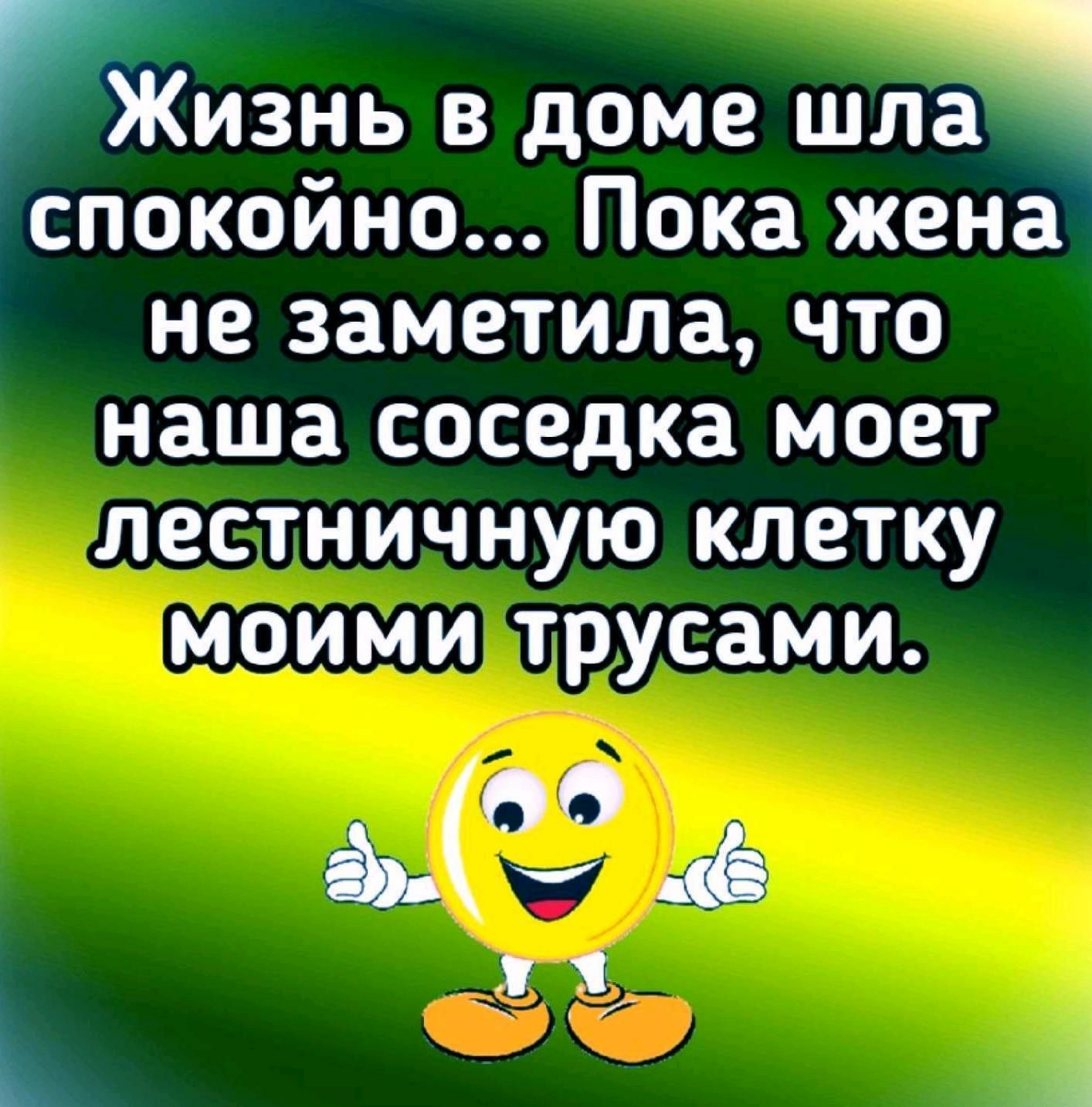 Жизнь в доме шлд спокойно Пока жена не заметила что наша соседка моет лестничную клетку моими трусами 501 и 1