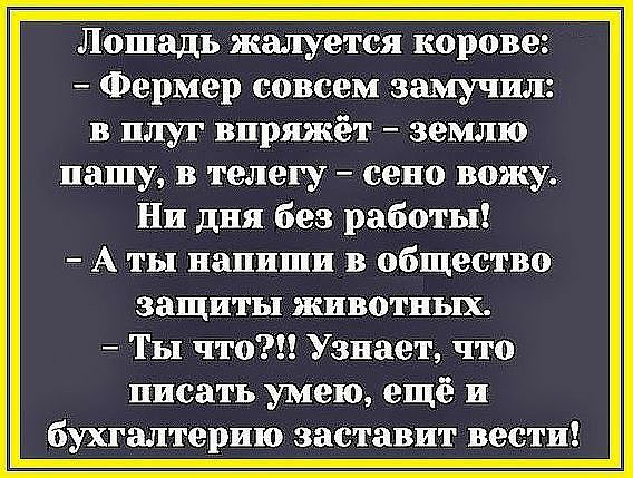 Лошадь жалуется корове Фермер совсем замучил в плуг впряжёт землю нашу в телегу Сено вожу Ни дня без работы А ты напиши в общество защиты животных Ты что Узнает что писать умею ещё и бухгалтерию заставит вести