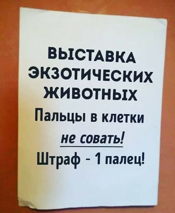 ВЫСТАВКА ЭКЗОТИЧЕСКИХ ЖИВОТНЫХ Пальцы в клетки не совать Штраф 1 палец