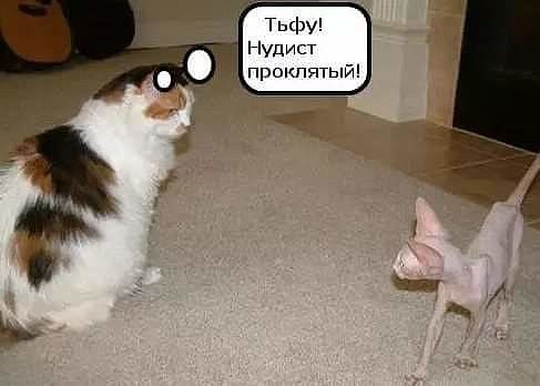 Тьфу нудист