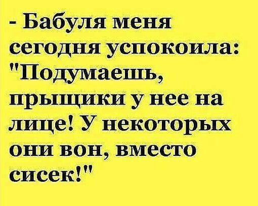 ужи