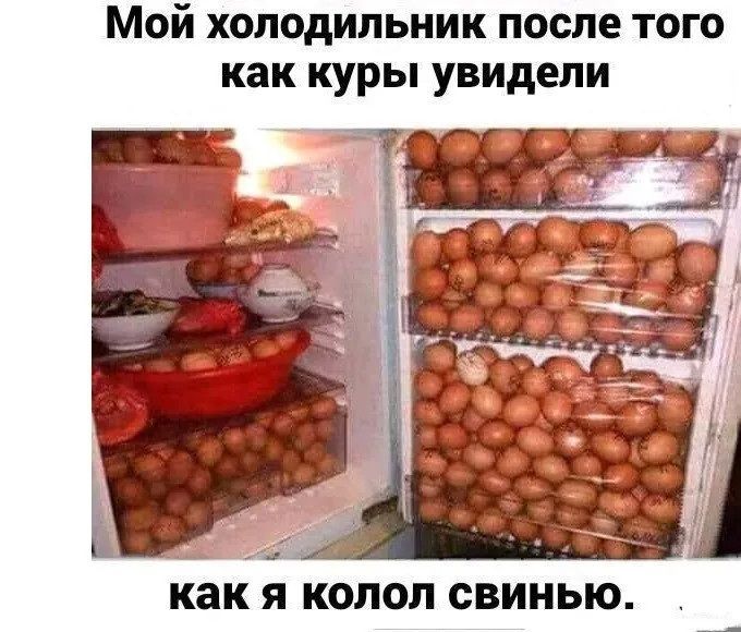 Мой холодильник после того как куры увидели как Я КОЛОЛ СВИНЬЮ