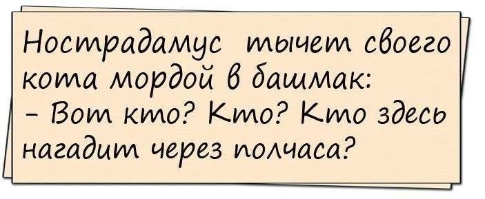 Г Нострадамус тычет обоего кота мордой б башмак Вот кто Кило Кило здесо нагадшм через ухошага