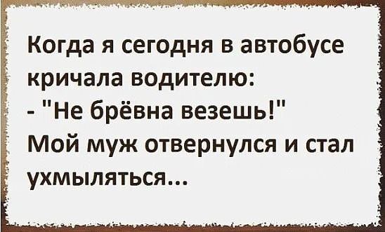 Когда я сегодня в автобусе кричала водителю Не брёвна везешь Мой муж отвернулся и стал ухмыляться