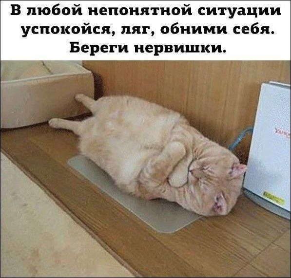 В любой непонятной ситуации успокойся пяг обними себя Береги нервишки
