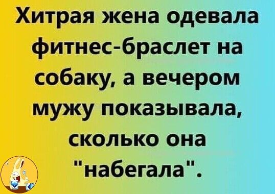 Хитрая жена одевала фитнес браслет на собаку а вечером мужу показывала сколько она К набегала Ы