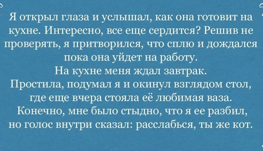 С Я открыл глаза и услышал как она готовит на кухне Интересно все еще сердится Решив не проверять я притворился что сплю и дождался пока она уйдет на работу На кухне меня Ждал завтрак Простила подумал я и окинул взглядом стол где еще вчера стояла её любимая ваза Конечно мне было стыдно что я ее разбил но голос внутри сказал расслабься ты же кот