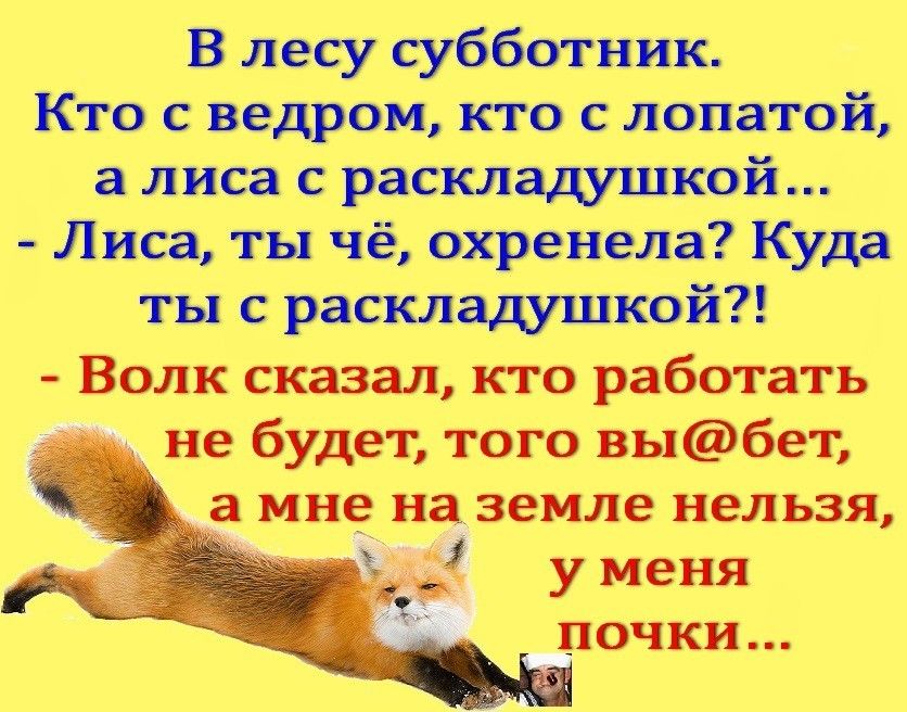 В лесу субботник Кто с ведром кто с лопатой а лиса с раскладушкой Лиса ты чё охренела Куда ты с раскладушкой Волк сказал кто работать у не будет того вь1бет _а мне на земле нельзя _ у меня почки