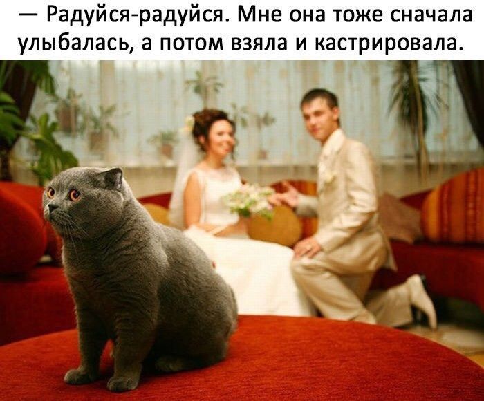 Радуйсярадуйся Мне она тоже сначала улыбалась а потом взяла и кастрировала