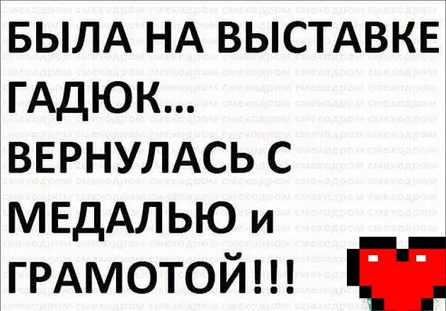 БЫЛА НА выстдвкв гАдюк ВЕРНУЛАСЬ с МЕДАЛЬЮ и ГРАМОТОЙ