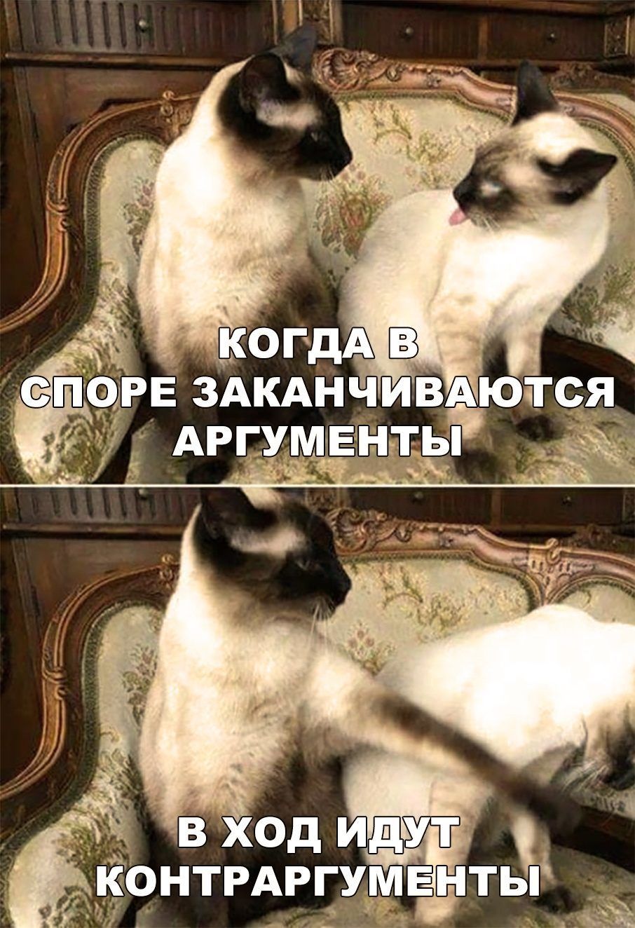 Ё в ход онтрдргумвнты